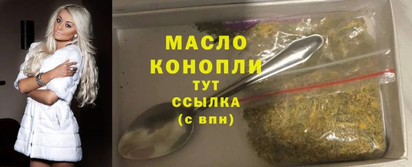 стафф Касимов