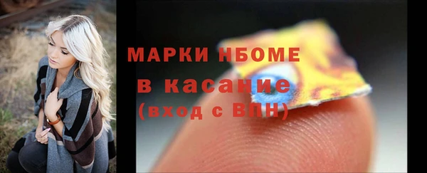 стафф Касимов