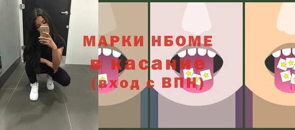 стафф Касимов