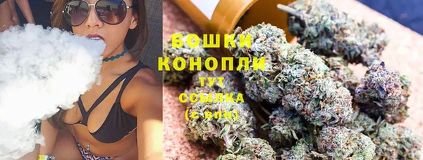 стафф Касимов