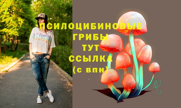 таблы Карпинск