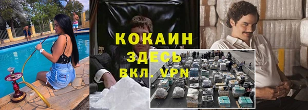крисы Карталы