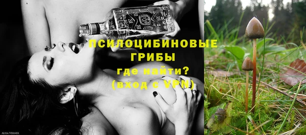 крисы Карталы