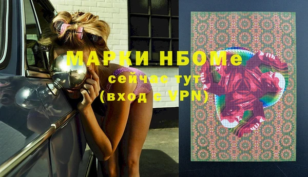 стафф Касимов